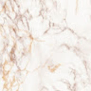 Meet your Posher, Perry